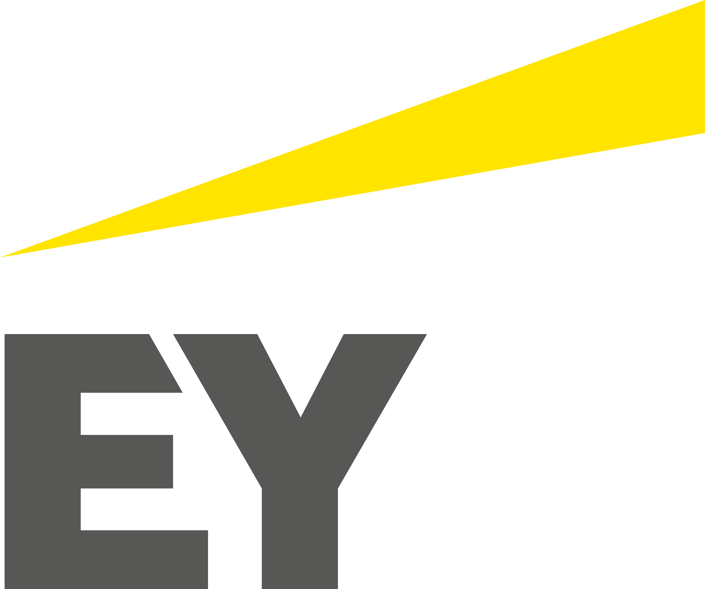 Ernst & Young GmBH